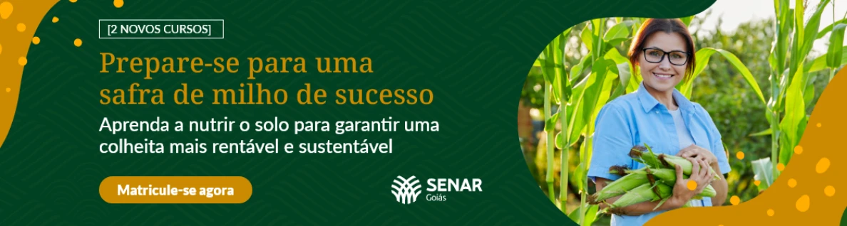 20241112 senar goias banner lancamento cursos de milho PORTAL FAEG